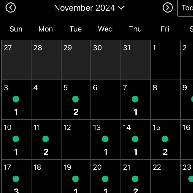 Activity Calendar