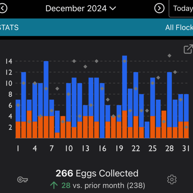 Egg Production